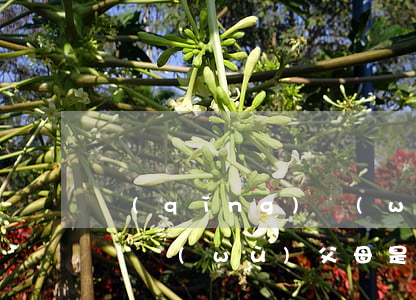 請(qǐng)問(wèn)兒子欠信用卡債務(wù)，父母是否需要償還？該怎么辦？